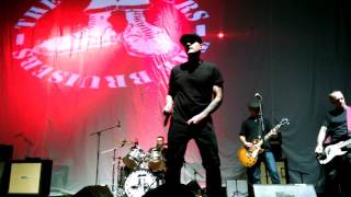 The Bruisers "American Night"