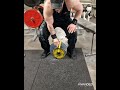 Grip Strength - 40kg Plate pinch