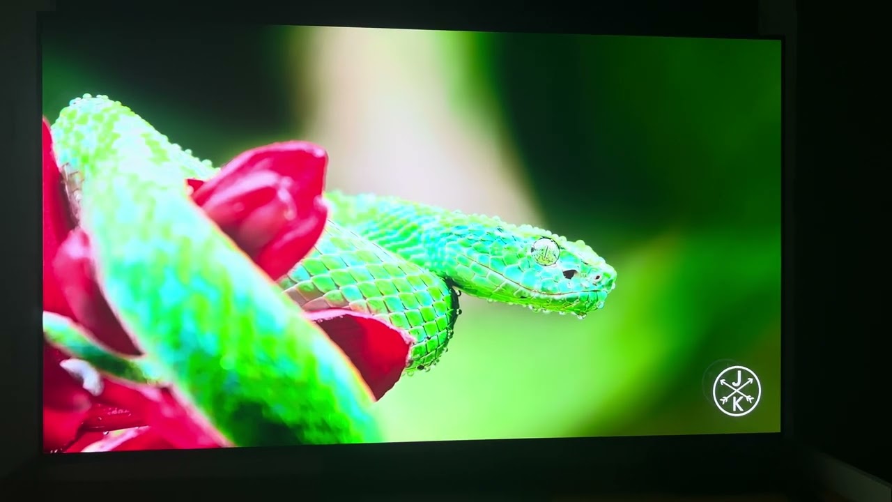 Samsung S90D OLED (Parte 04)