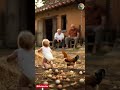 The FUNNIEST Chicken Chase EVER