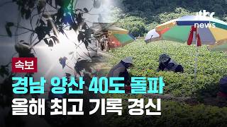 오늘 경남 양산 40.1도…'3년 연속 40도 더위' 현실화 [이슈PLAY]