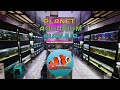 Toko Ikan Hias Planet Aquarium