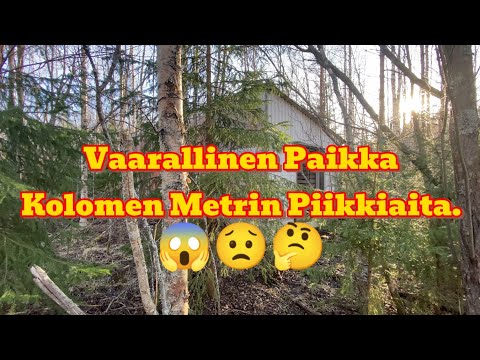 Vaarallinen Autiopaikka