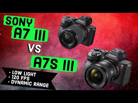 Sony a7III VS a7S III Video Review (A7s III Low light Comparison, 4K 120 fps, 60 fps + 1080 240 fps)