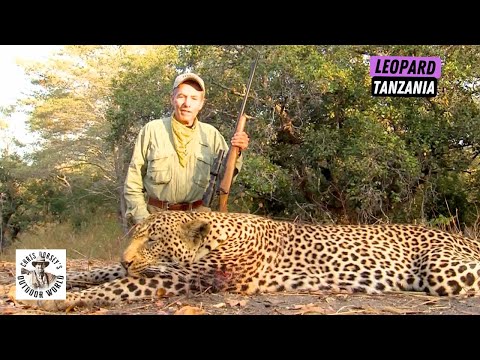 Father & Son Hunt Leopard in Tanzania