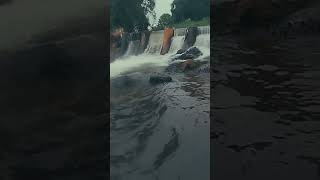 Download lagu Berjalan di atas air #sungai #air #kali #estetik #fyp #monet mp3