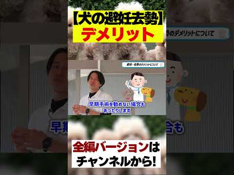 分泌物を伴う去勢雌犬:原因