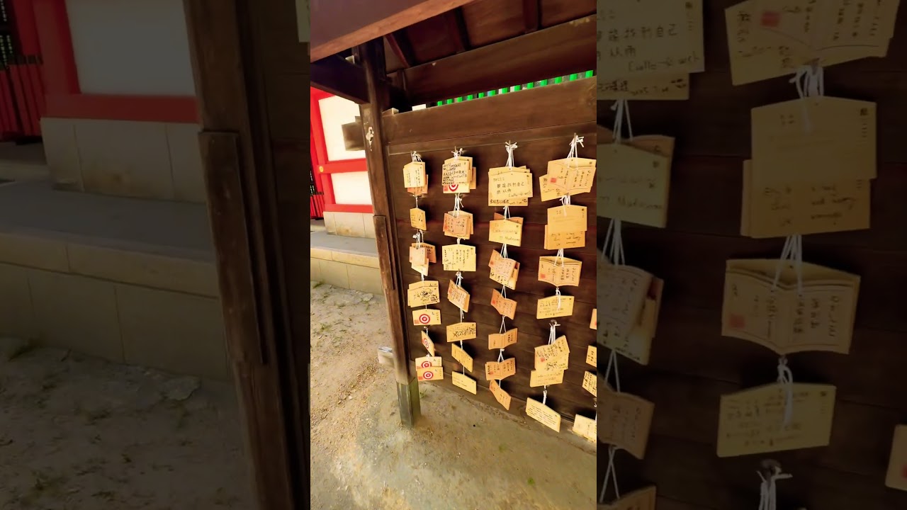 YouTube Short thumbnail