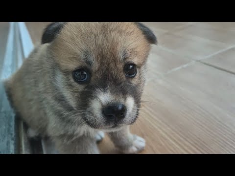 YouTube 썸네일
