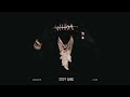 Lil Baby Stiff Gang Official Visualizer