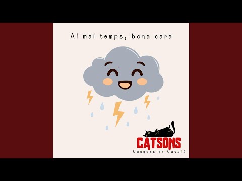 Sempre plou quan no hi ha escola