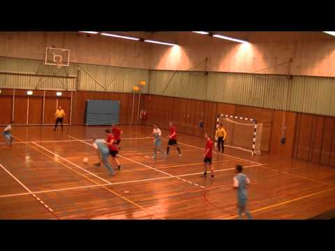 Samenvatting ZVV Ede 1 - ZVZ 1