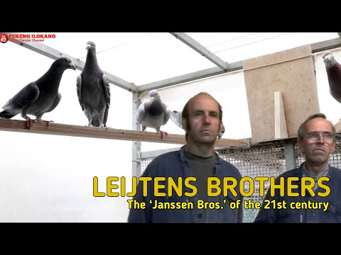 The Janssen Bros. of the 21st century - Speed and Middle Distance Champion - LEIJTENS BROS.