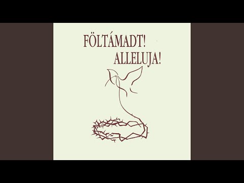 Úgy kellene egy új dal