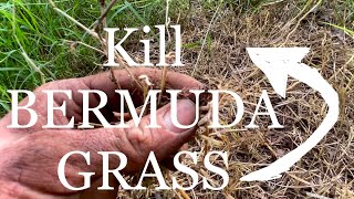 How to Kill BERMUDA GRASS | BEST Methods