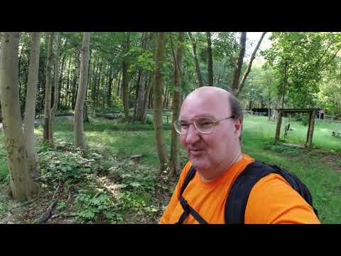 MongoTV_3318 - English Vlog_0175 - Part 1 - I Take a Walk With My Cheep Vegatables