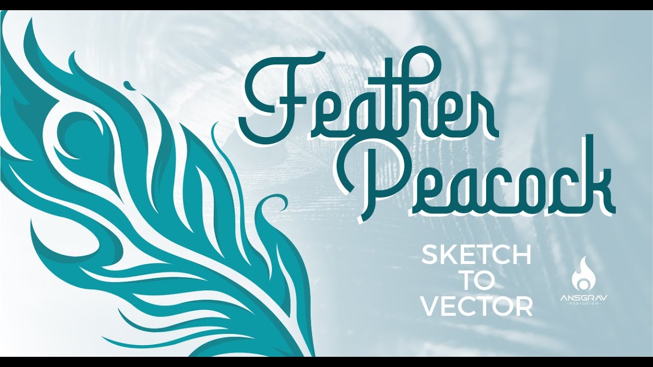 SKETCH TO VECTOR feather peacock - SPEEDART