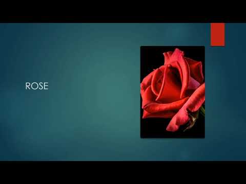 Easy flowers name for learning with pictures in english