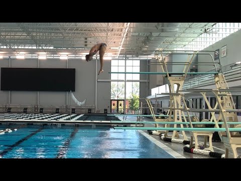 101b Front Dive Pike 1m Springboard 1.3