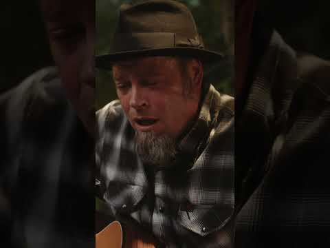 Dan Kelly Sings "Be The Only One" Live at the Sugarshack #dankelly #sugarshacksessions #livemusic