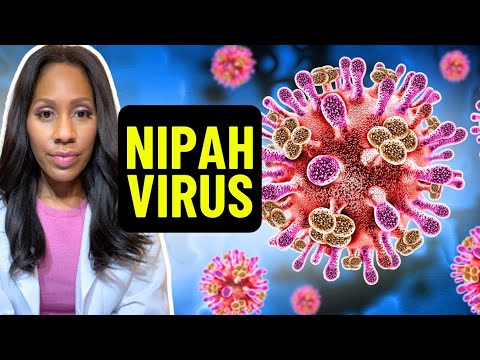 NIPAH VIRUS: A Doctor Explains Symptoms, Transmission, Risk Factors and How Dangerous It Is!