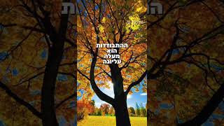 הרב שלום סבג – לעלות לשורש ✨ (הרב שלום סבג) - התמונה מוצגת ישירות מתוך אתר האינטרנט יוטיוב. זכויות היוצרים בתמונה שייכות ליוצרה. קישור קרדיט למקור התוכן נמצא בתוך דף הסרטון