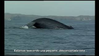 A-ha - We're Looking For The Whales (Subtitulado)