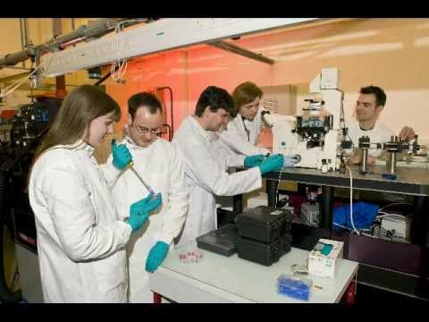 Science discovers that bullshit actually produces sound.