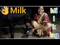 Viral Milk Making