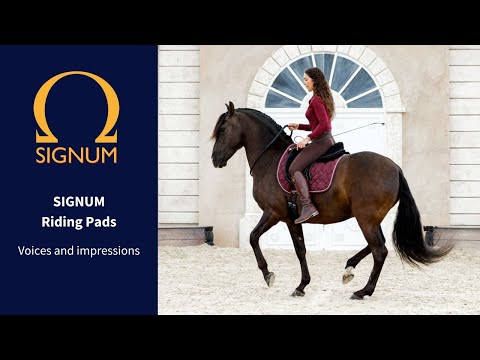 SIGNUM Riding Pads
