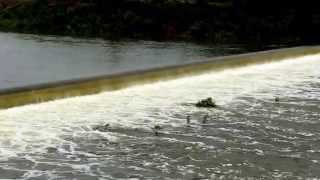 preview picture of video 'Lake Brownwood spillway - Pecan Bayou - May 8 2015 - after 8' rain - last similar event July 2002.'