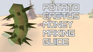 RS Money making guide | Potato Cactus | No reqs!