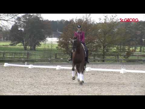 So geht seitwärts, Teil 2 Fortgeschrittene