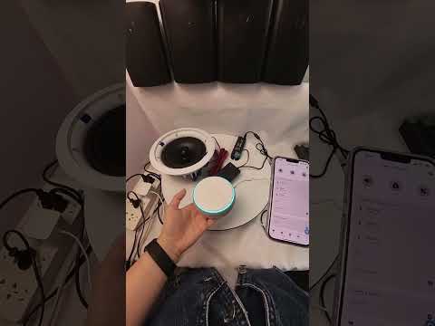 How do I connect my Herdio ceiling speakers to Alex