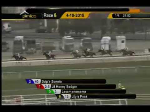 Pimlico 04/10/15 race 8