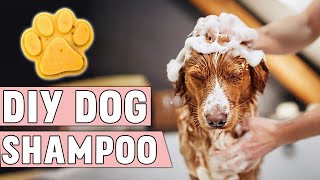 DIY Homemade Dog Shampoo