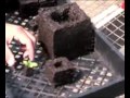 Video for Soil Block Propagation Trays – 50 Count