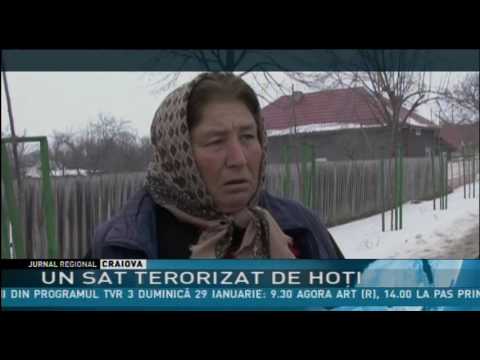 UN SAT TERORIZAT DE HOŢI