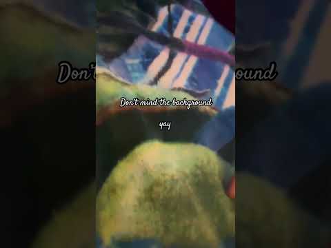 Welcome Mrs. Sunny #gecko #leopard gecko #sunny don’t mind the other sound