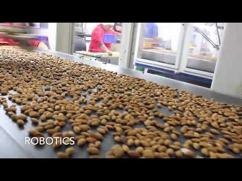 Almond Inspection using Hyperspectral Imaging Sensors