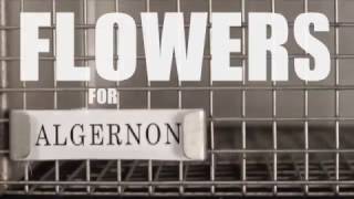 Flowers for Algernon Trailer-Bethel University Renaissance Theatre
