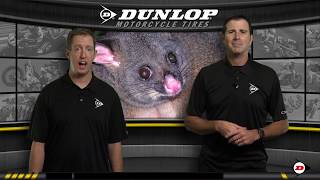 Dunlop Pro-Dealer Program