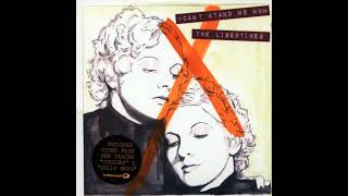 The Libertines - Dilly Boys (Dynamic Edit)