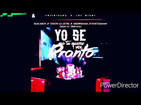 YO SE QUE TU QUIERES | BLACK ROY x SIMON LA LETRA x DASH x AROWMIAMI x DOETAMIAMI ( PREVIEW)