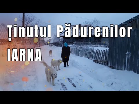 Iarna în satele din Ținutul Pădurenilor
