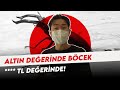 Altın Değerinde Böcek XXXX TL Lik