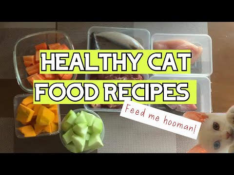 Healthy Homemade Cat Food Recipes