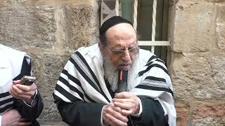 הרב יהודה סרבניק שליט