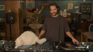 Download lagu House mix with cats at Le Café des Chats｜DJ Houseum mp3