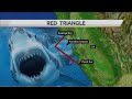 The Red Triangle: The Most Frightening Shark Movie of 2024? (New Johannes Roberts Movie)